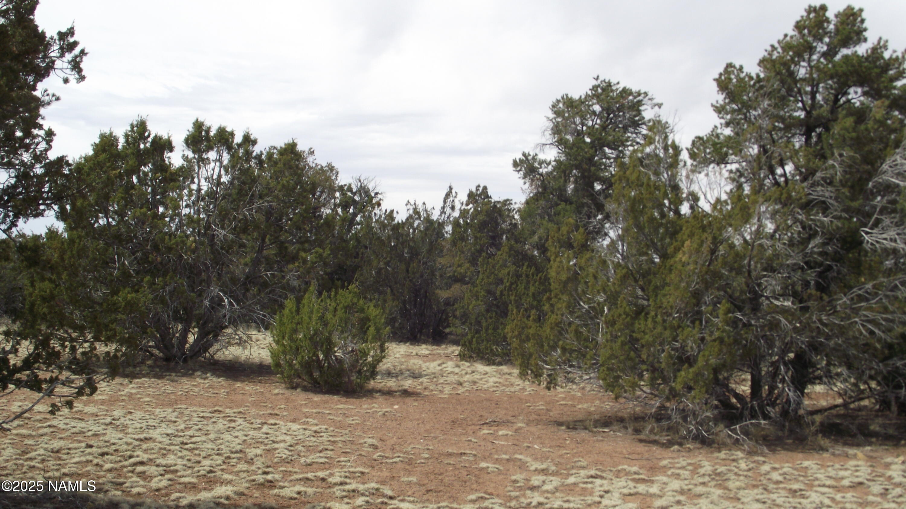 591 East Running Bear Road Williams, AZ 86046 - Photo 6 of 10 DSCF7427