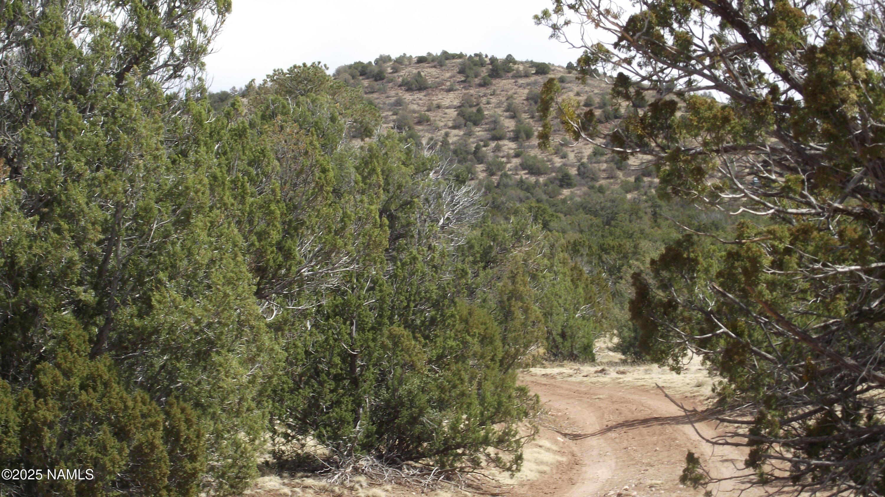 591 East Running Bear Road Williams, AZ 86046 - Photo 7 of 10 DSCF7428