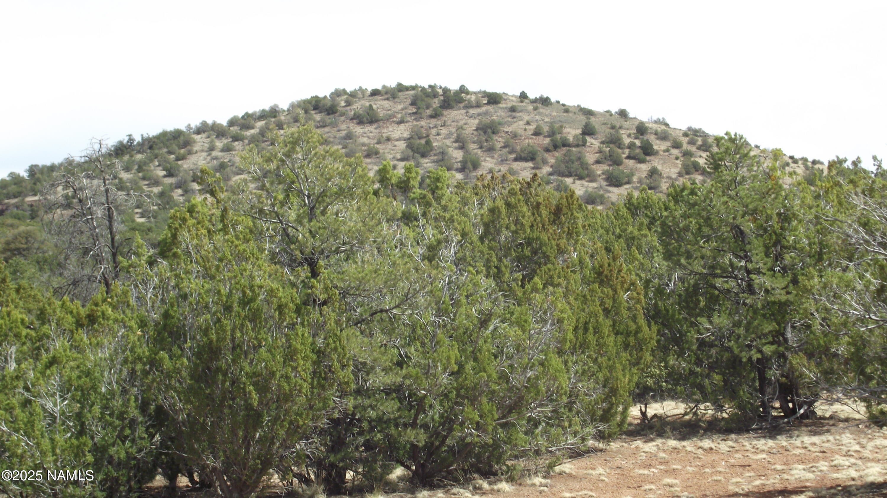 591 East Running Bear Road Williams, AZ 86046 - Photo 8 of 10 DSCF7429
