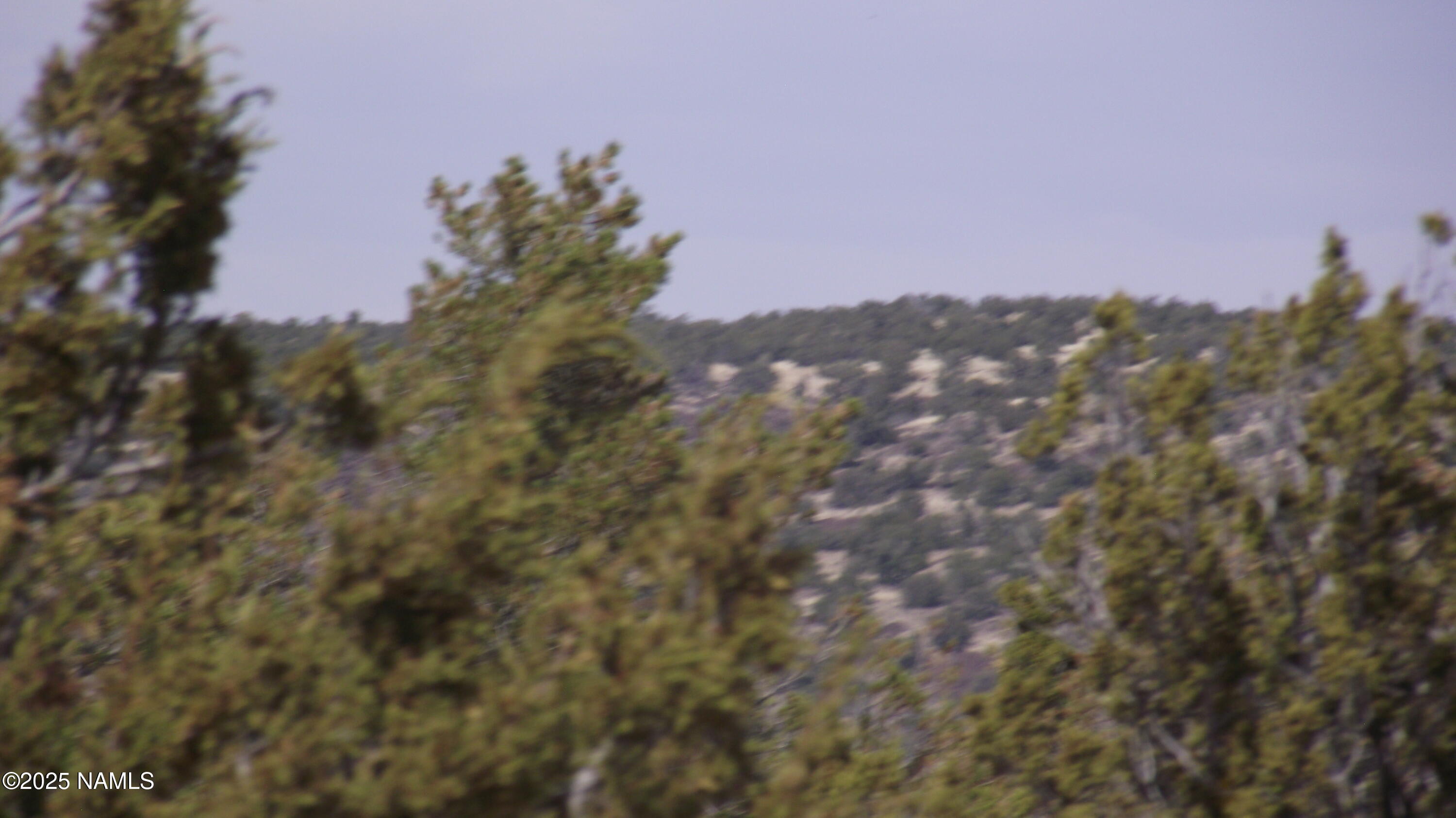 591 East Running Bear Road Williams, AZ 86046 - Photo 10 of 10 DSCF7433