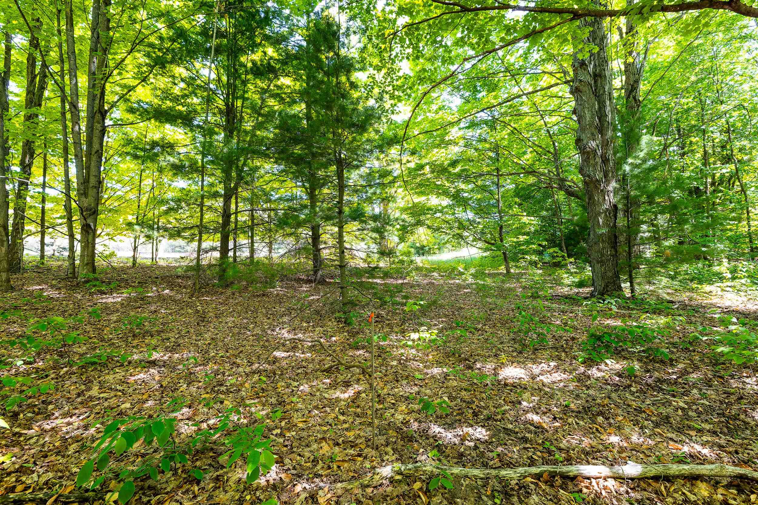 7764 South Weldon Road Thompsonville, MI 49683 - Photo 12 of 15