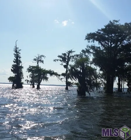 $294,900 | 278 Bayou Tranquille Road, Pierre Part, LA 70339