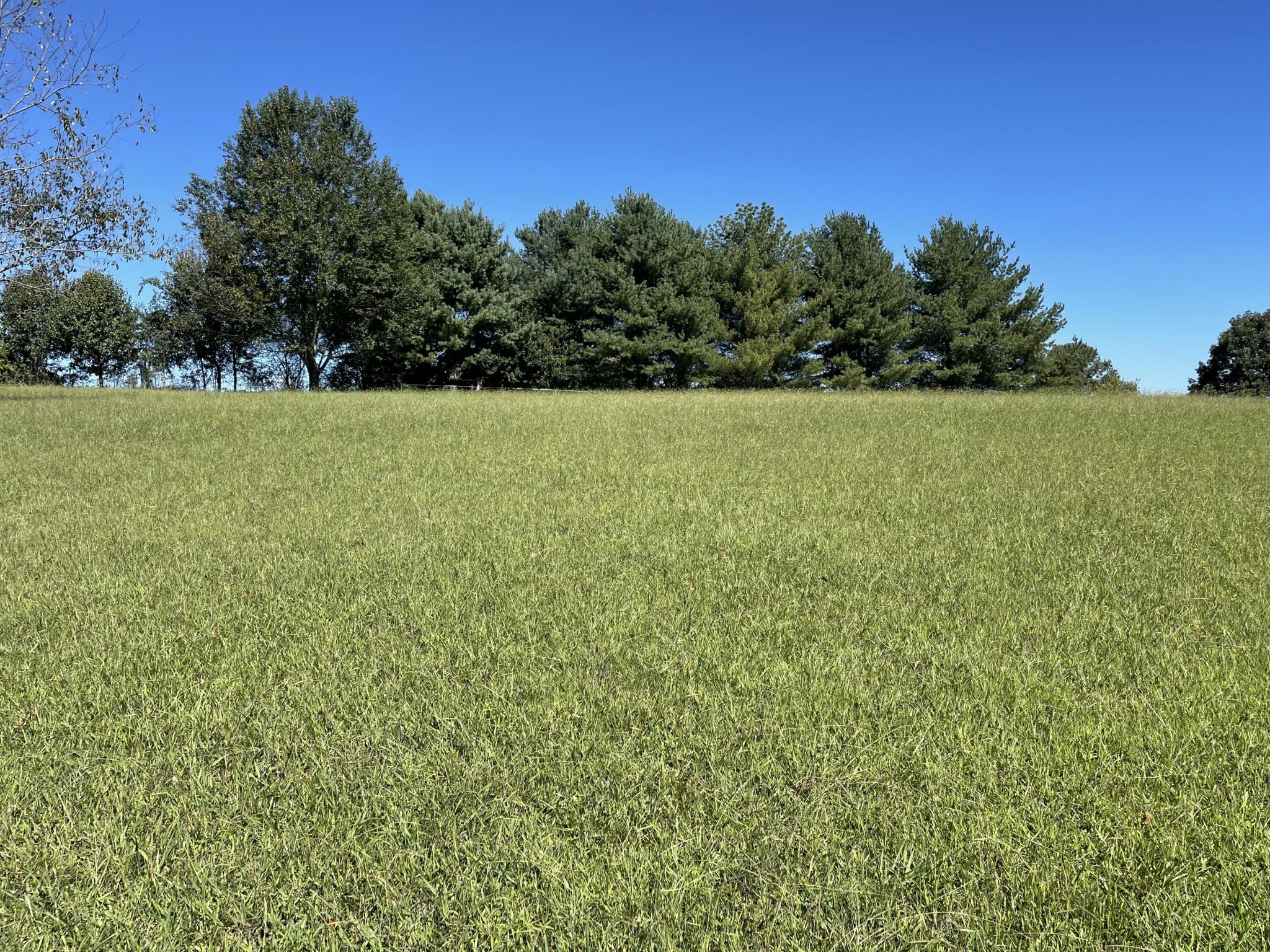 9 Sweetsprings Road Madisonville, TN 37354 - Photo 1 of 18 Gallery Image 1