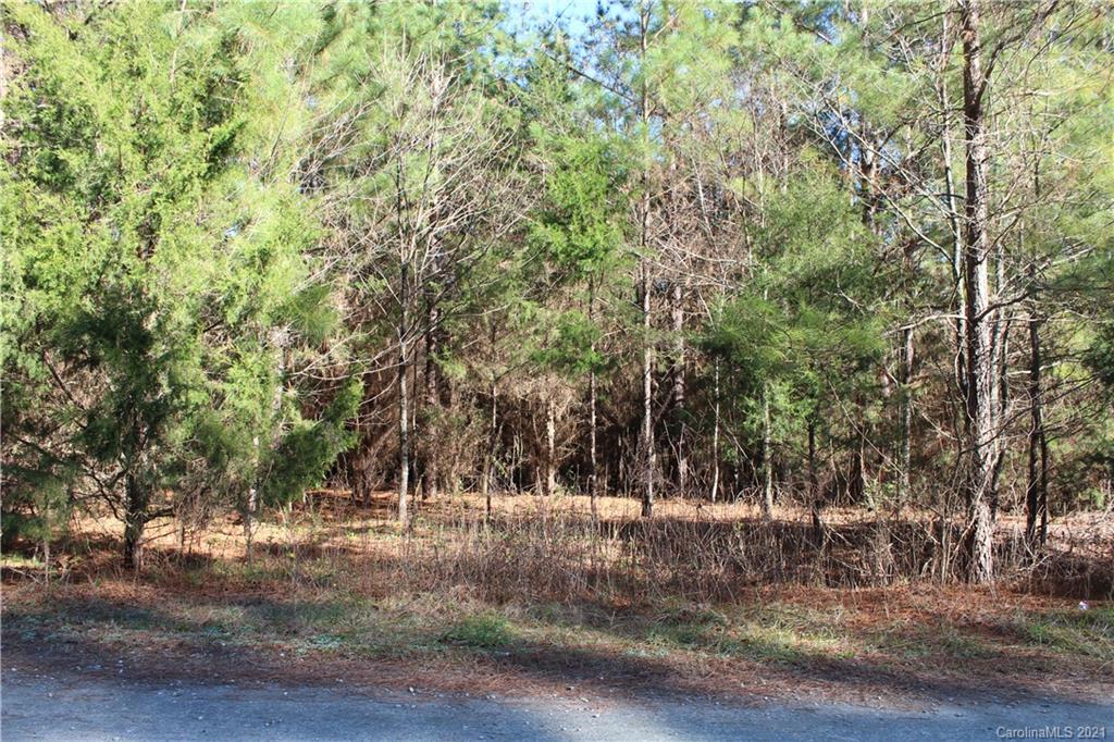 Lot C Clearview Road Cleveland, NC 27013 - Photo 1 of 8 Gallery Image 1