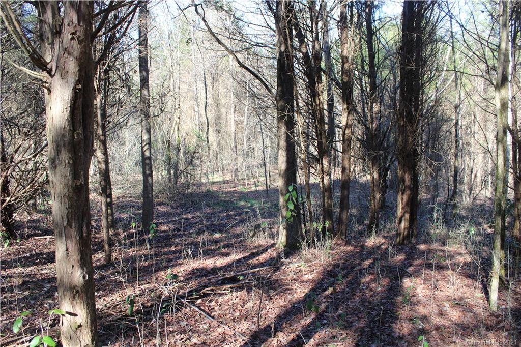 Lot C Clearview Road Cleveland, NC 27013 - Photo 2 of 8 Gallery Image 2