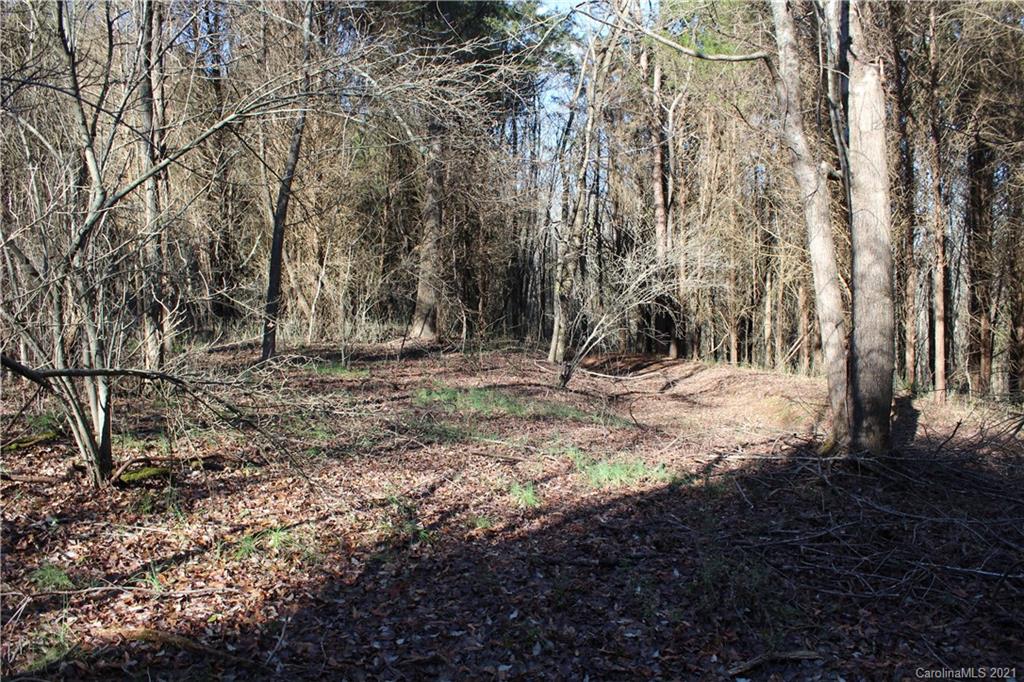 Lot C Clearview Road Cleveland, NC 27013 - Photo 3 of 8 Gallery Image 3