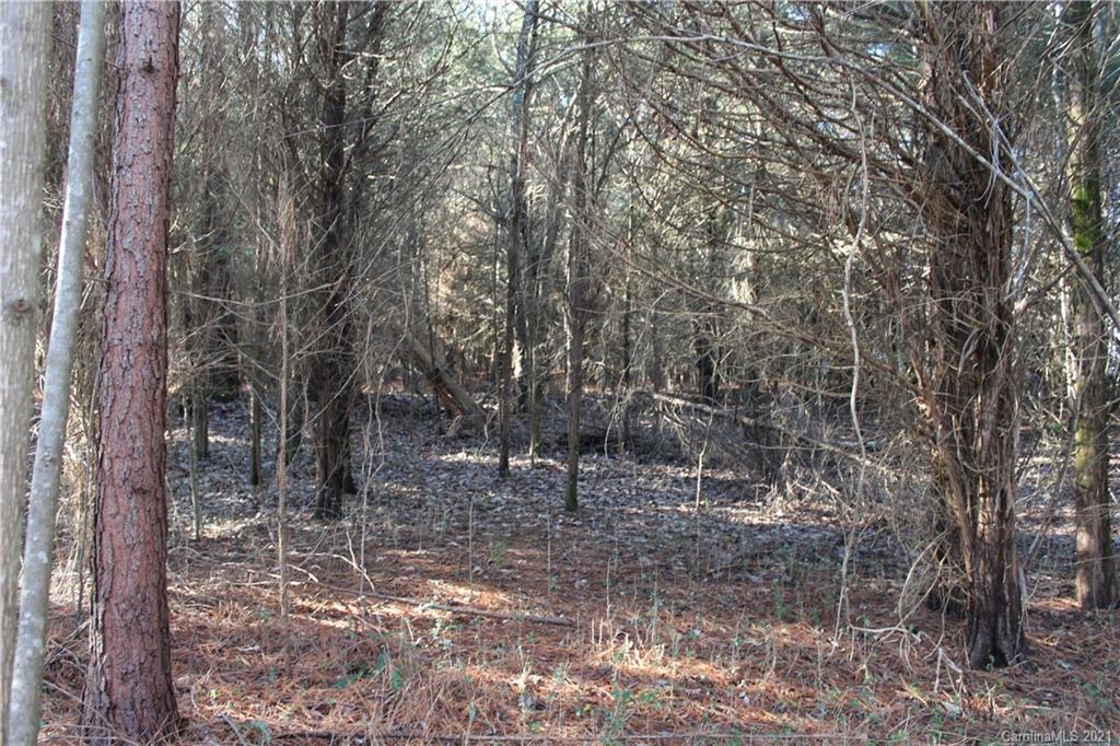 Lot C Clearview Road Cleveland, NC 27013 - Photo 4 of 8 Gallery Image 4