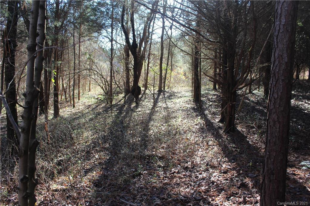 Lot C Clearview Road Cleveland, NC 27013 - Photo 5 of 8 Gallery Image 5