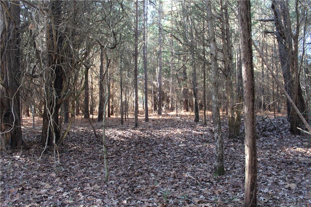 Lot C Clearview Road Cleveland, NC 27013 - Photo 6 of 8 Gallery Image 6