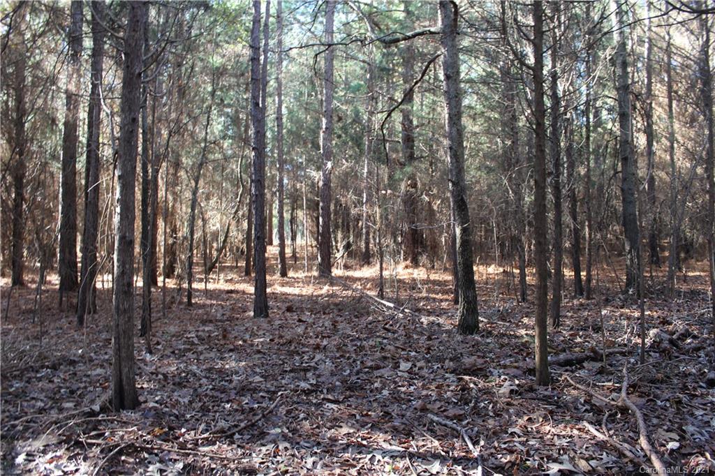 Lot C Clearview Road Cleveland, NC 27013 - Photo 7 of 8 Gallery Image 7