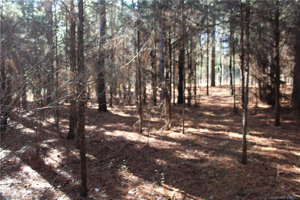 Lot C Clearview Road Cleveland, NC 27013 - Photo 8 of 8 Gallery Image 8