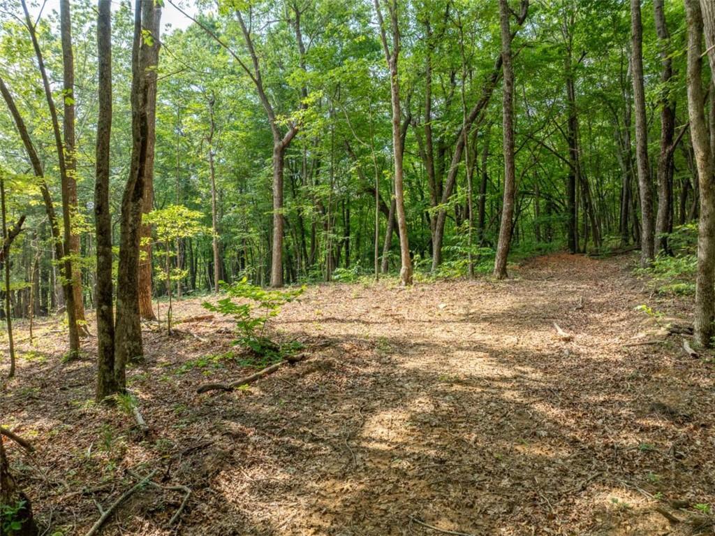 1298 Cold Stream Trail Jasper, GA 30143 - Photo 28 of 57