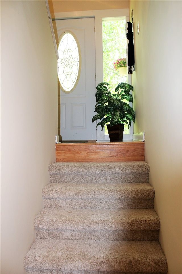 647 Gamble Gap Road Tellico Plains, TN 37385 - Photo 5 of 39 Gallery Image 5
