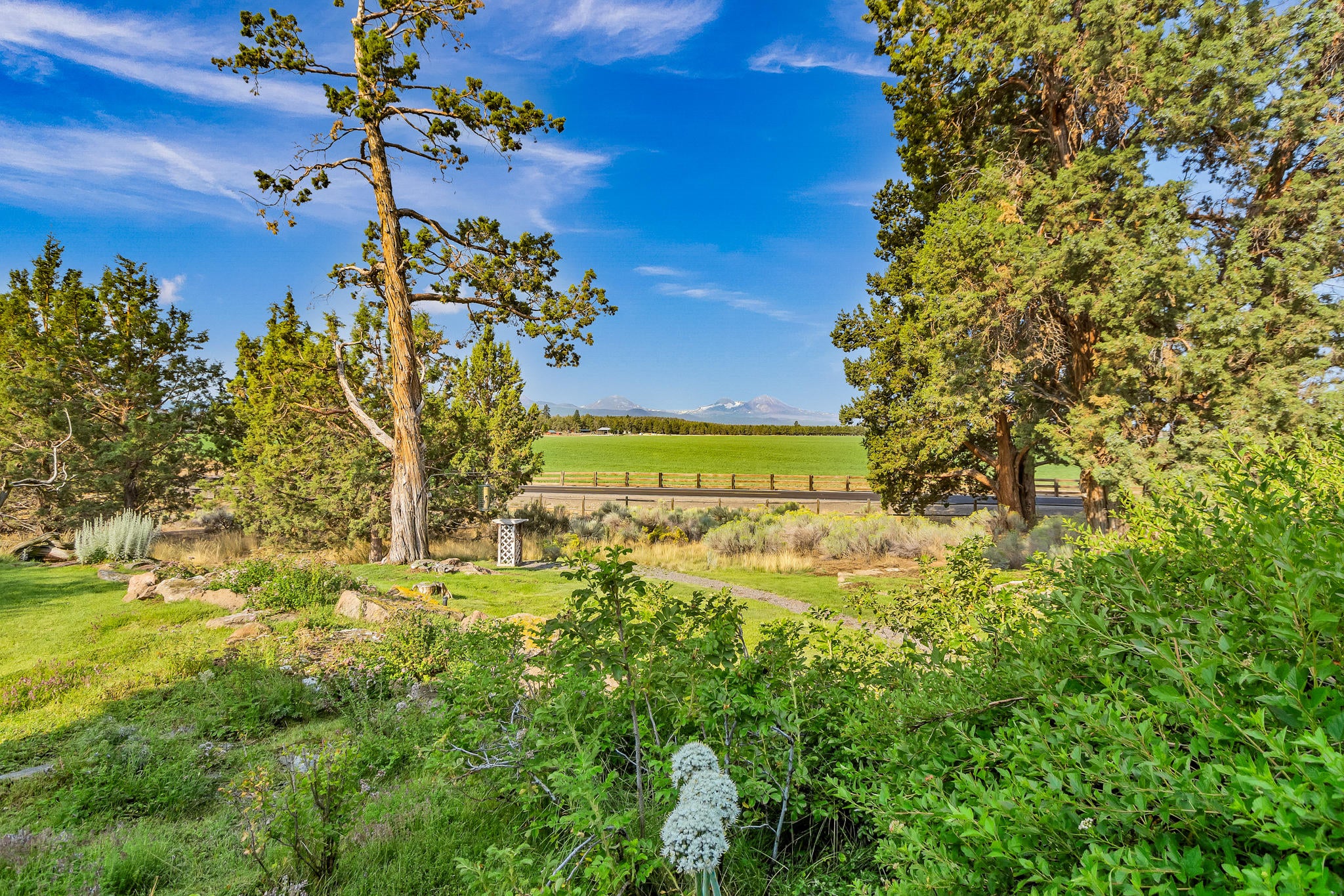 65764 Tweed Road Bend, OR 97703 - Photo 50 of 54 DSC09063