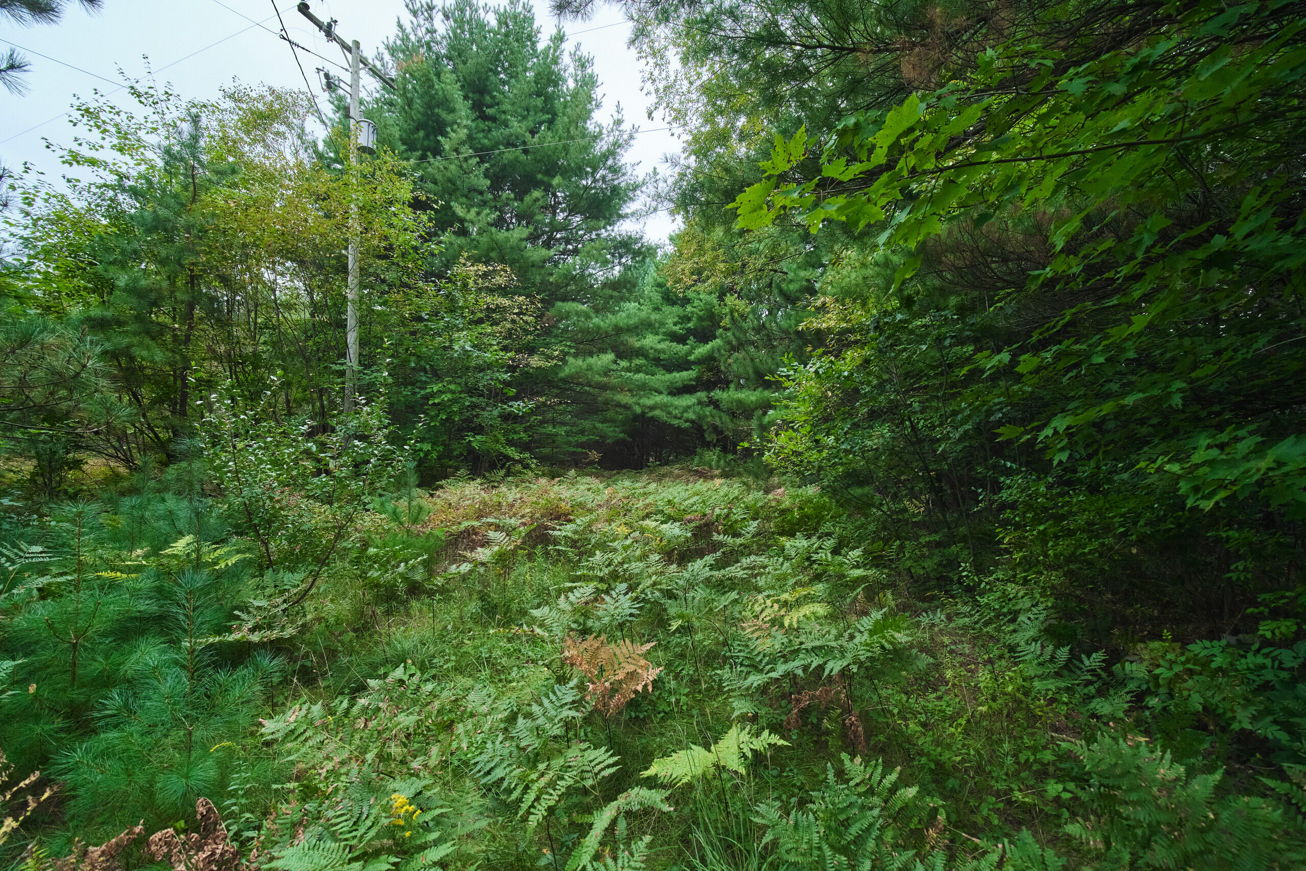 4825 North Weber Road Whitehall, MI 49461 - Photo 44 of 47 4825_N_Weber-34