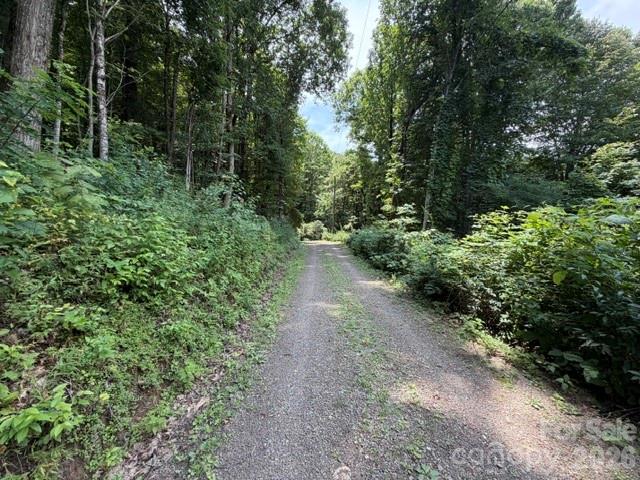 Lot 33 Sara Ridge Road Waynesville, NC 28786 - Photo 4 of 26 Gallery Image 4
