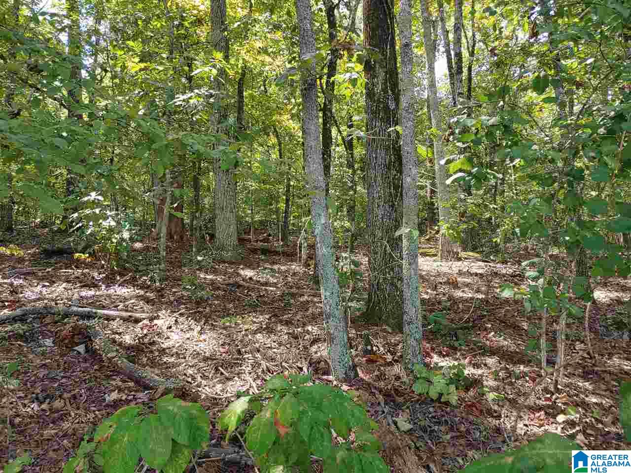 405 Cherokee Road, Unit 6 Cropwell, AL 35054 - Photo 7 of 20