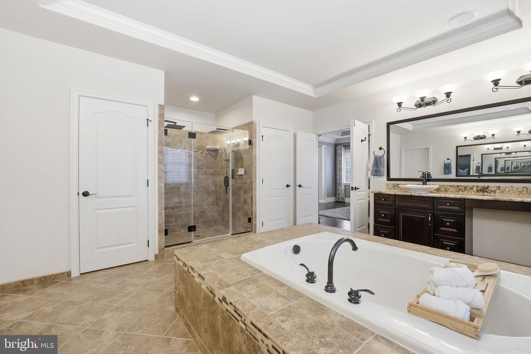 17972 Running Colt Place Leesburg, VA 20175 - Photo 52 of 99 a bathroom with a granite countertop tub sink shower and mirror