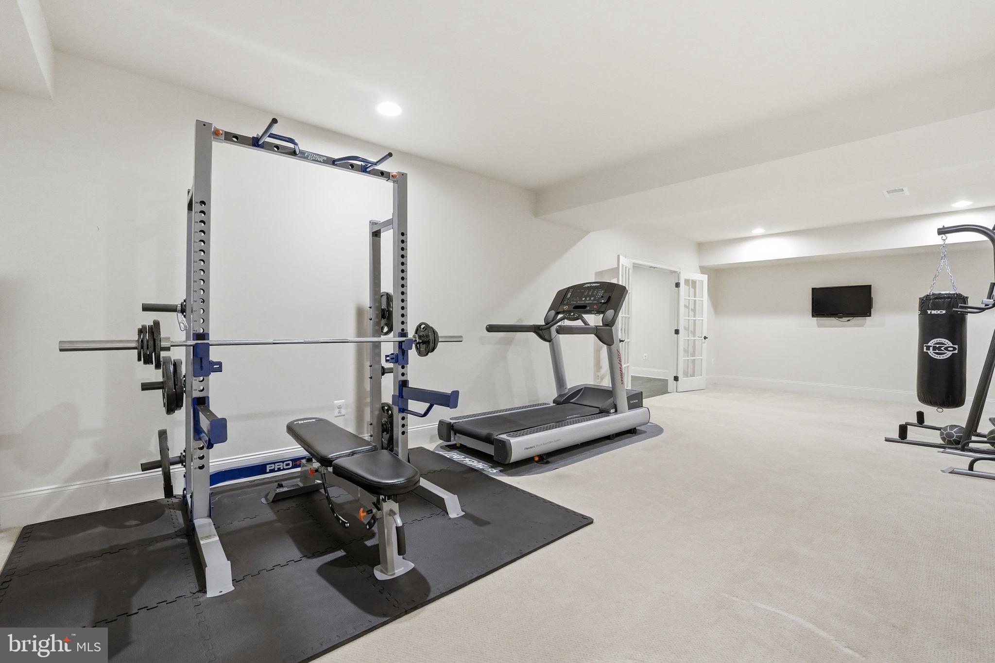 17972 Running Colt Place Leesburg, VA 20175 - Photo 79 of 99 a view of a room with gym equipment