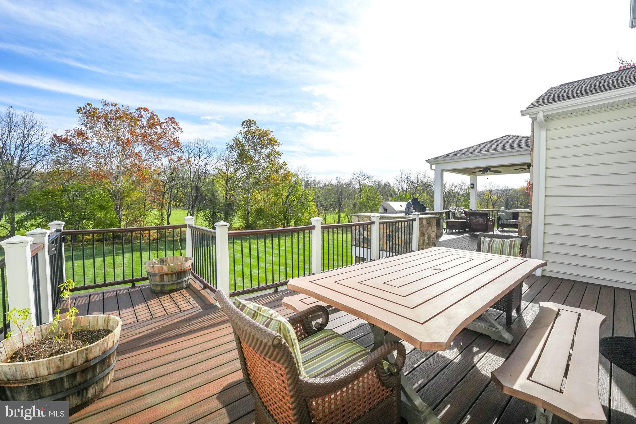 17972 Running Colt Place Leesburg, VA 20175 - Photo 86 of 99
