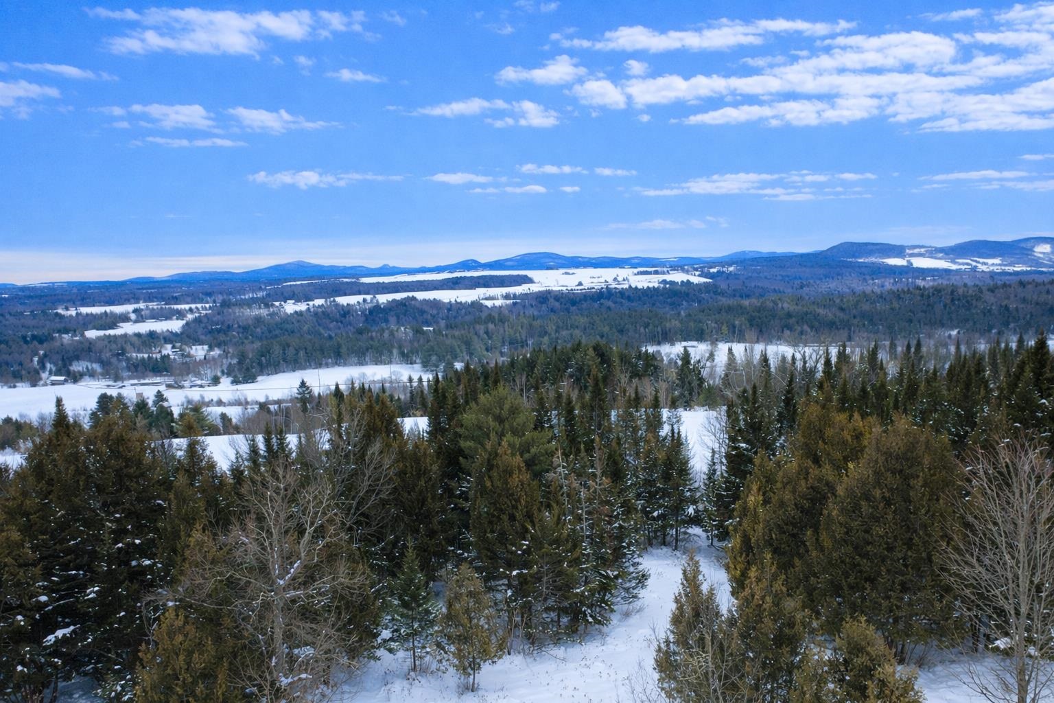 687 Chilafoux Hill Road Irasburg, VT 05845 - Photo 30 of 41