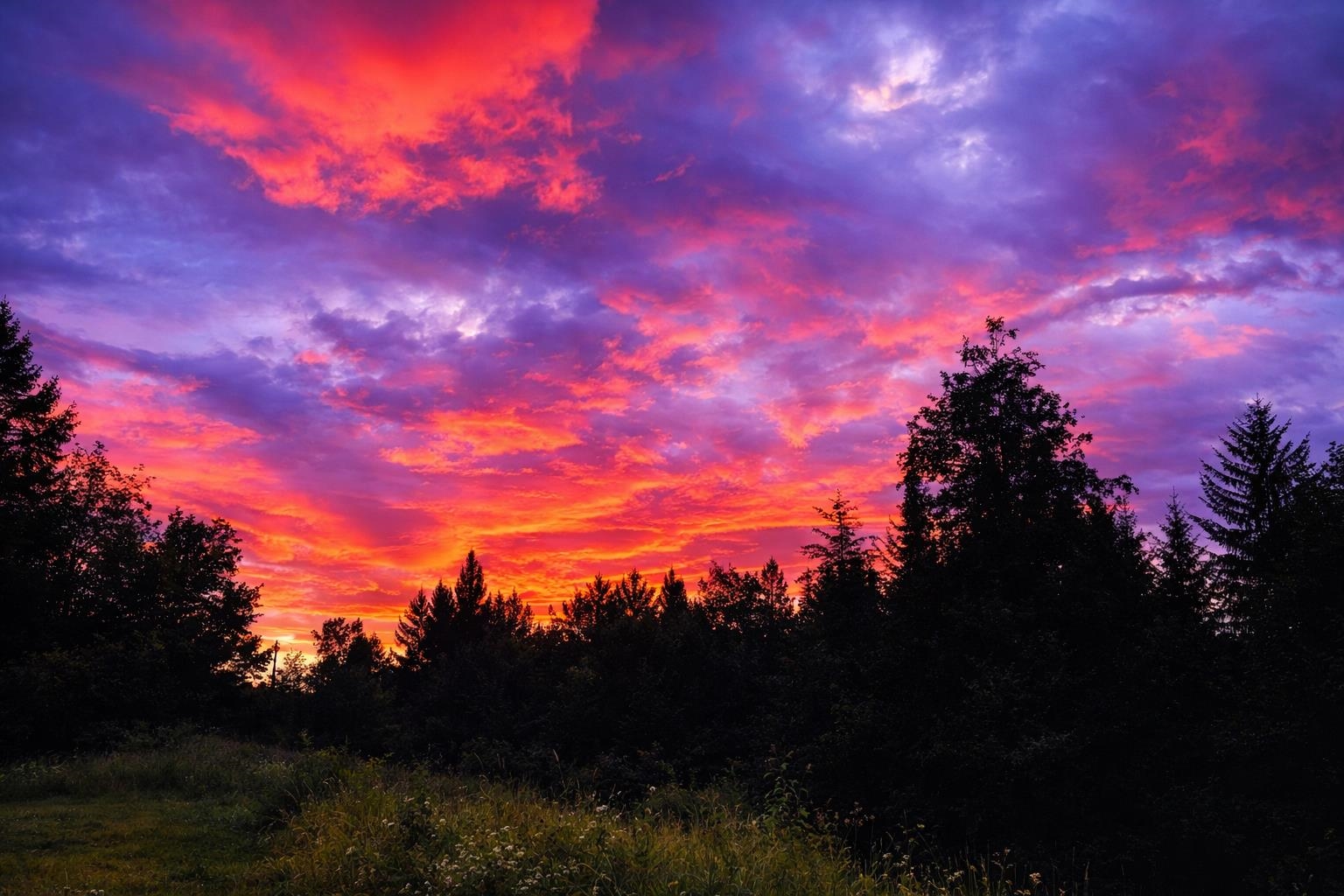 687 Chilafoux Hill Road Irasburg, VT 05845 - Photo 36 of 41