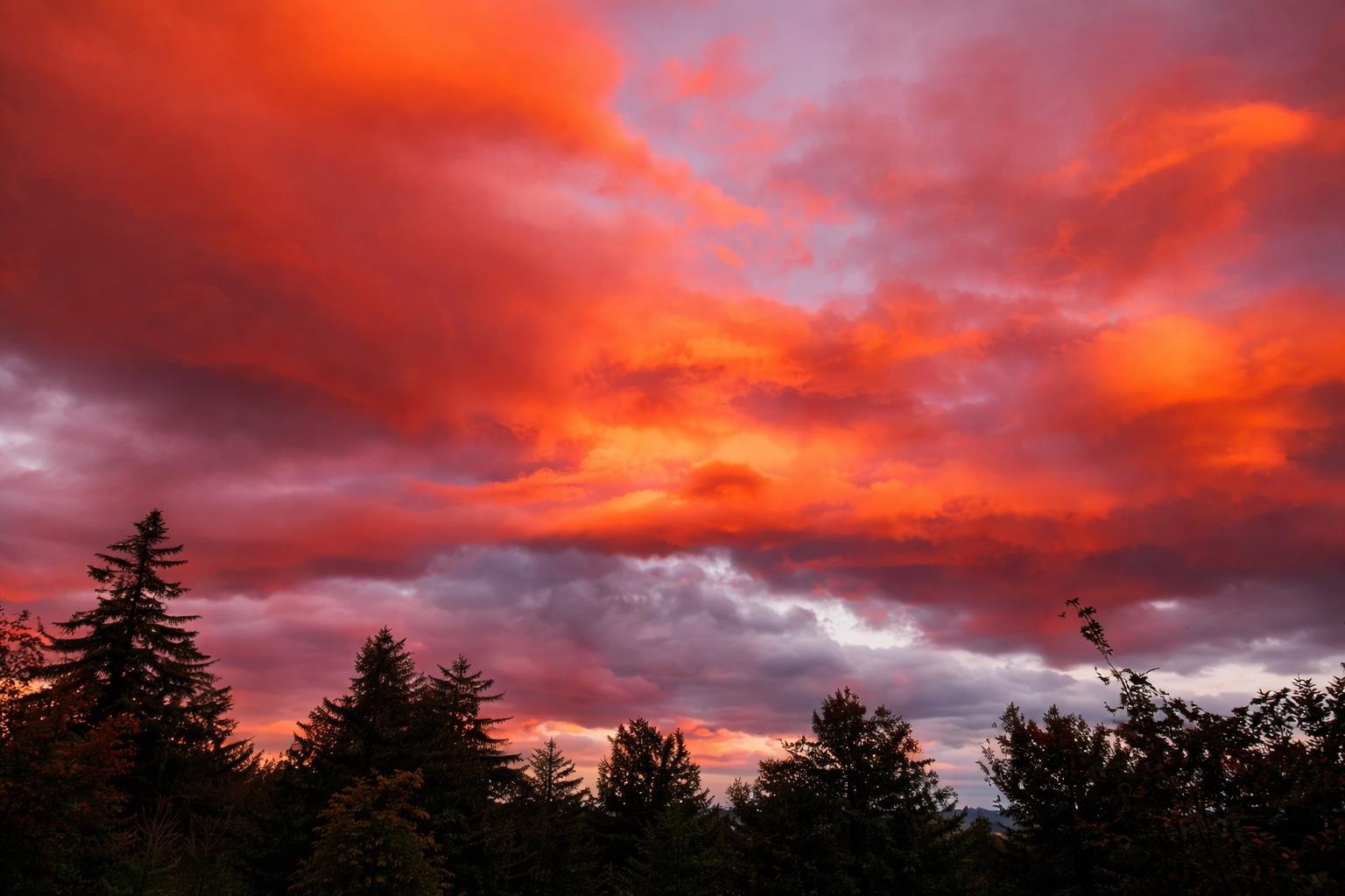 687 Chilafoux Hill Road Irasburg, VT 05845 - Photo 38 of 41