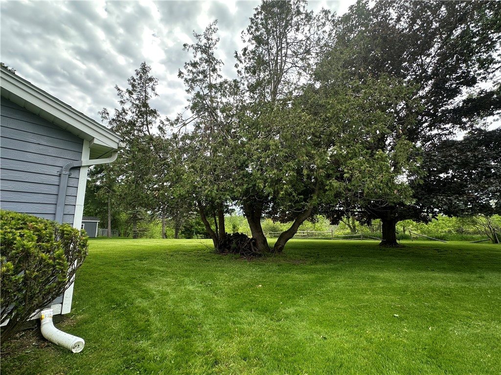 548 White Springs Road Geneva Town, NY 14456 - Photo 39 of 39