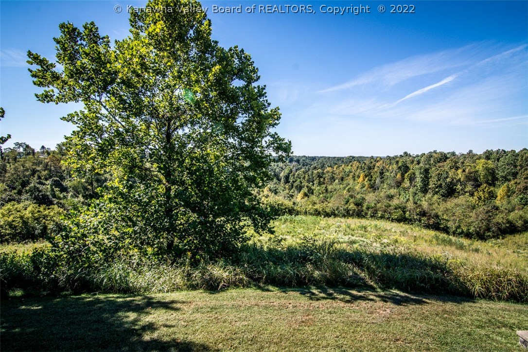 479 Hamilton Ridge Road Ravenswood, WV 26164 - Photo 6 of 25 Gallery Image 6