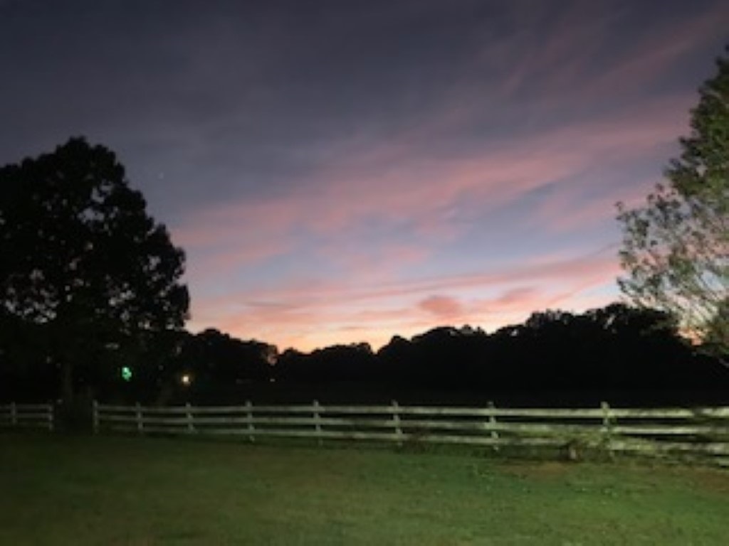 325 Rainbow Lake Road Boiling Springs, SC 29316 - Photo 26 of 36 Gallery Image 26