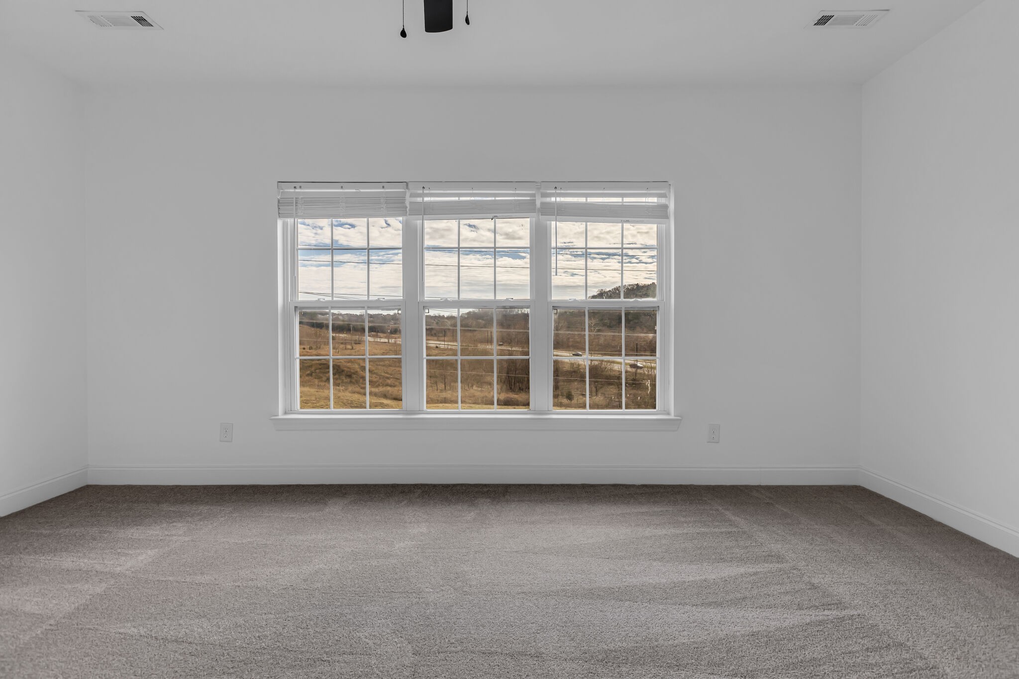 1434 Burnside Drive Franklin, TN 37067 - Photo 26 of 30