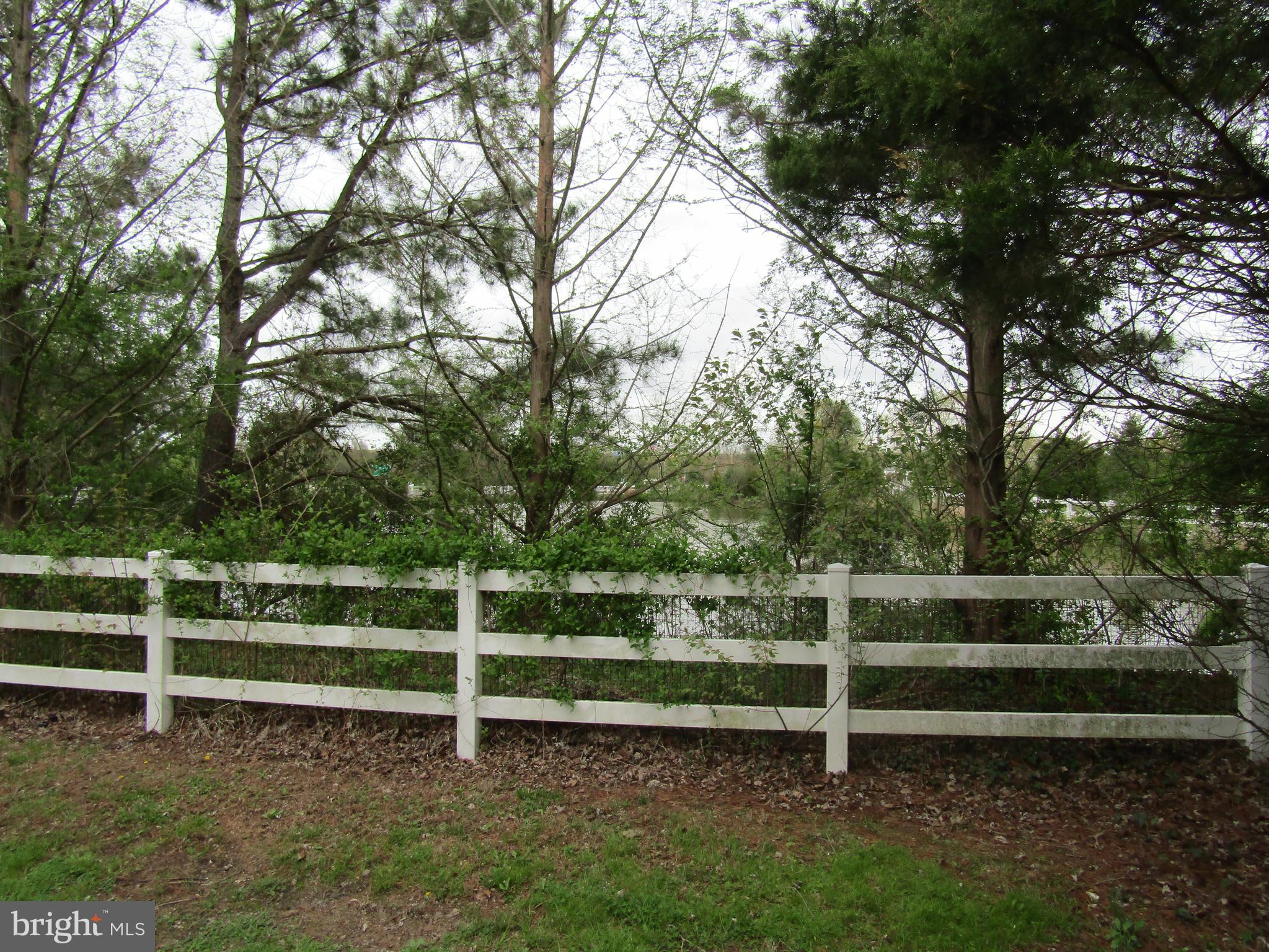 2273 Hudson Road Cambridge, MD 21613 - Photo 47 of 51 View - Side Yard