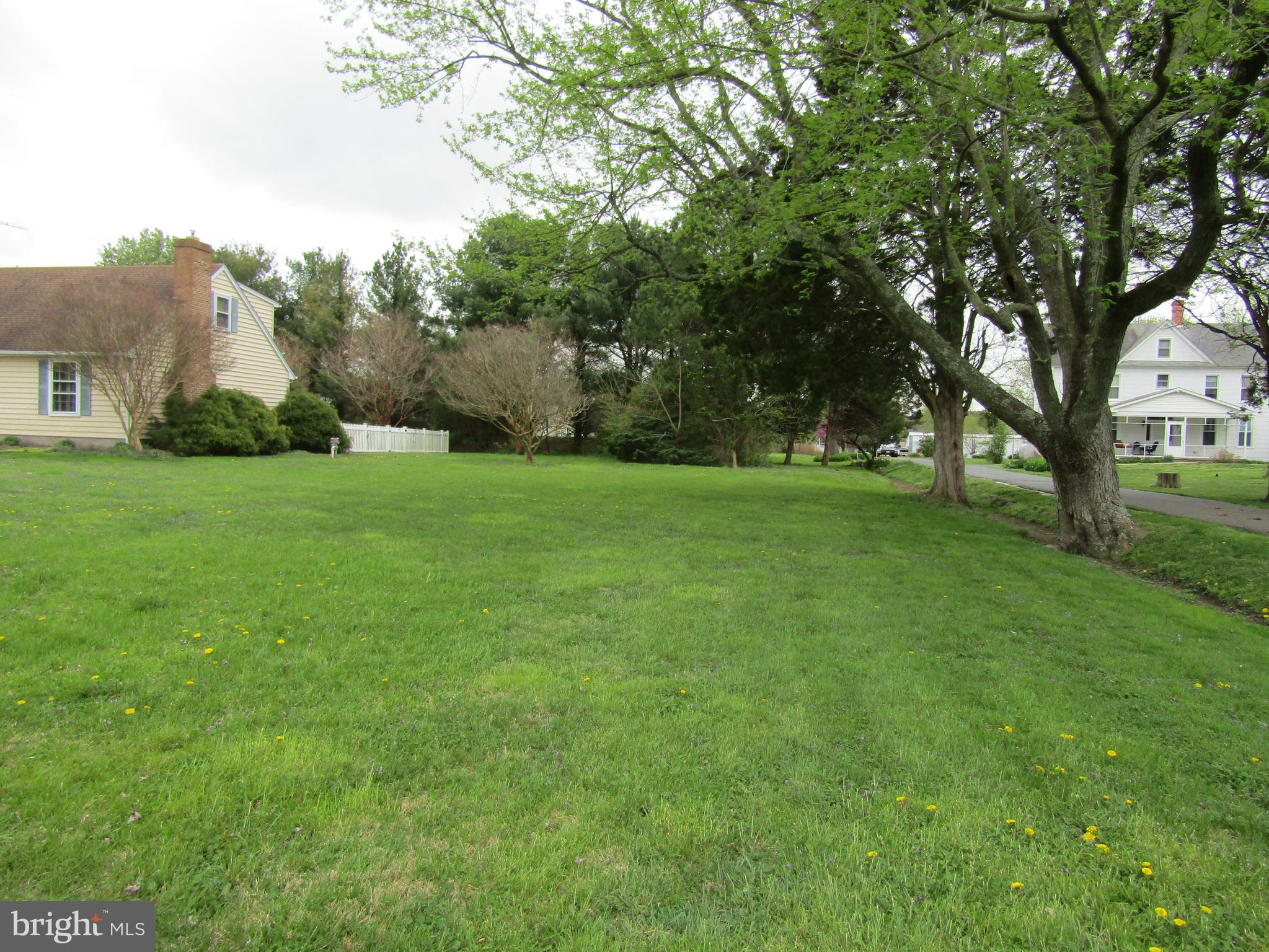 2273 Hudson Road Cambridge, MD 21613 - Photo 48 of 51 View - Side Yard