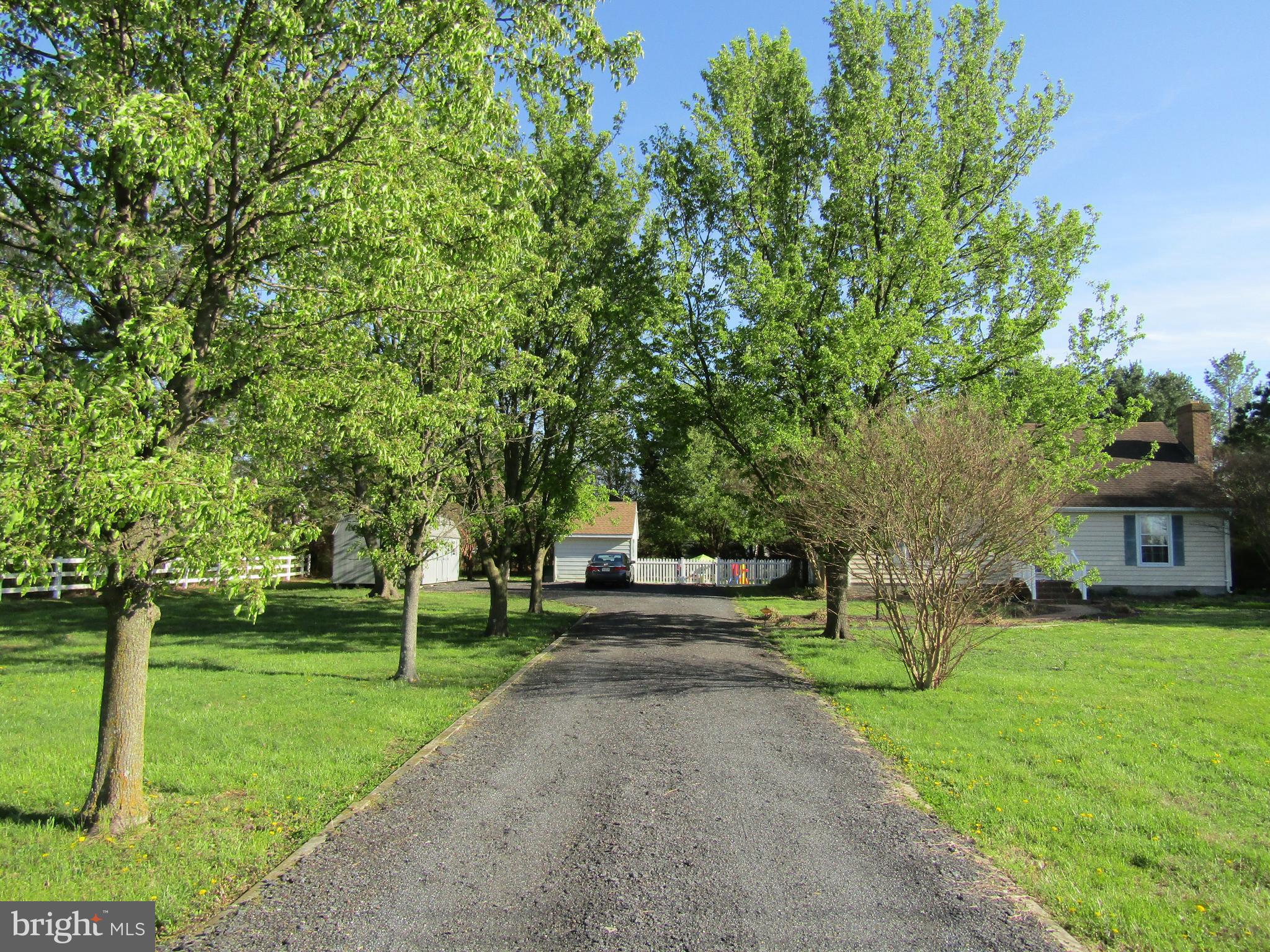 2273 Hudson Road Cambridge, MD 21613 - Photo 49 of 51 Gravel Driveway lined w/ Beautiful Blooming Trees