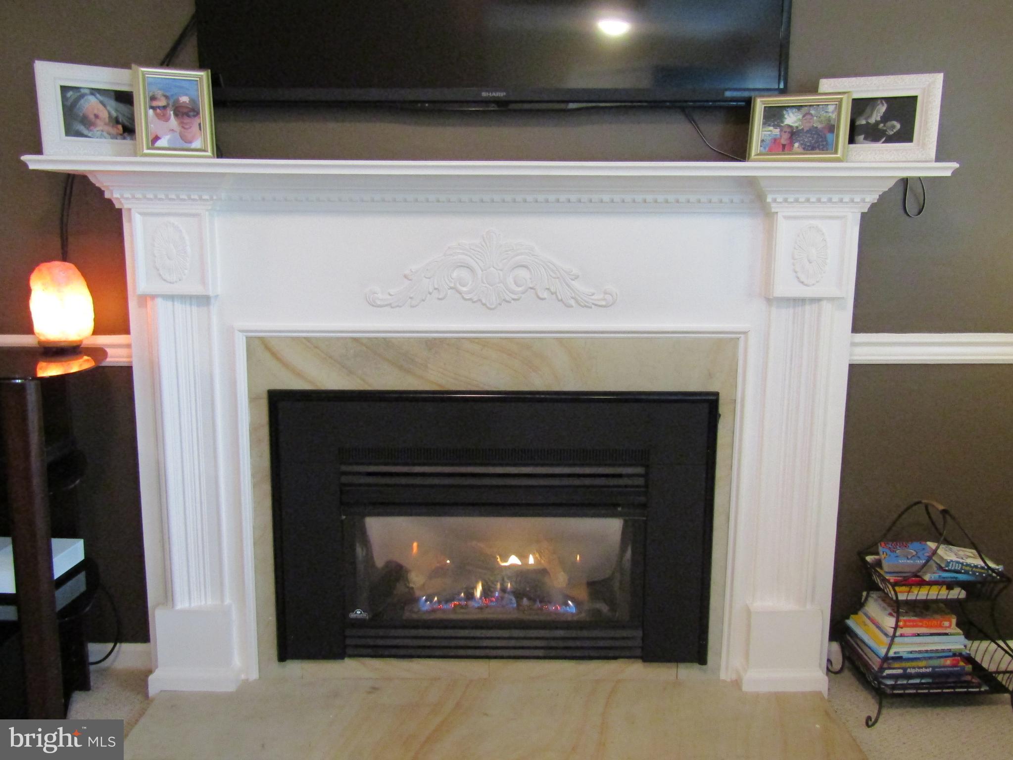 2273 Hudson Road Cambridge, MD 21613 - Photo 6 of 51 Gas Fire Place in Living Room