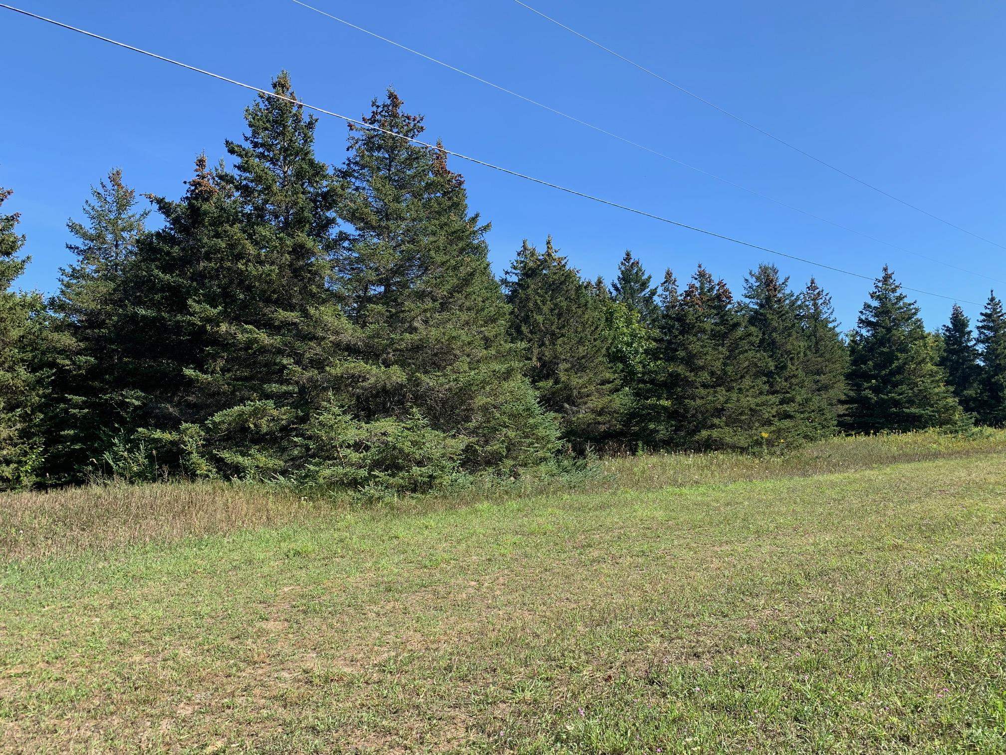 0 South Maple City Road Traverse City, MI 49684 - Photo 12 of 22