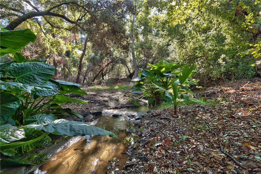 46341 El Prado Road Temecula, CA 92590 - Photo 41 of 52 a backyard of a house with lots of green space