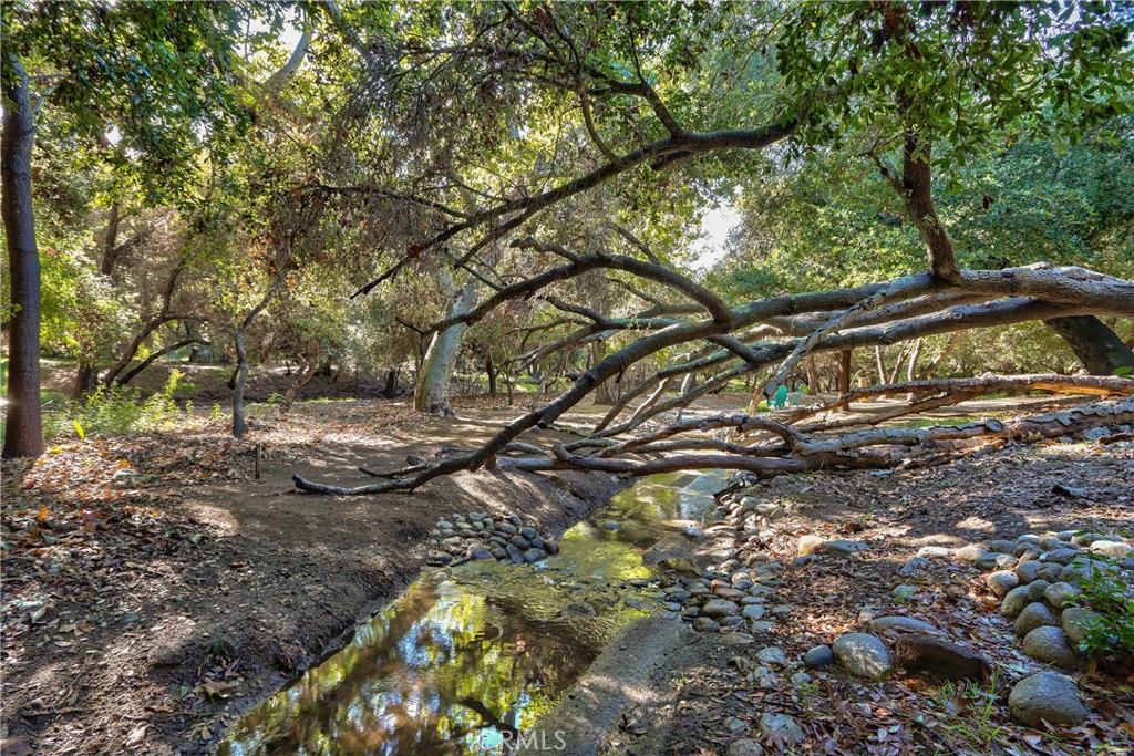 46341 El Prado Road Temecula, CA 92590 - Photo 42 of 52 a view of that has a tree
