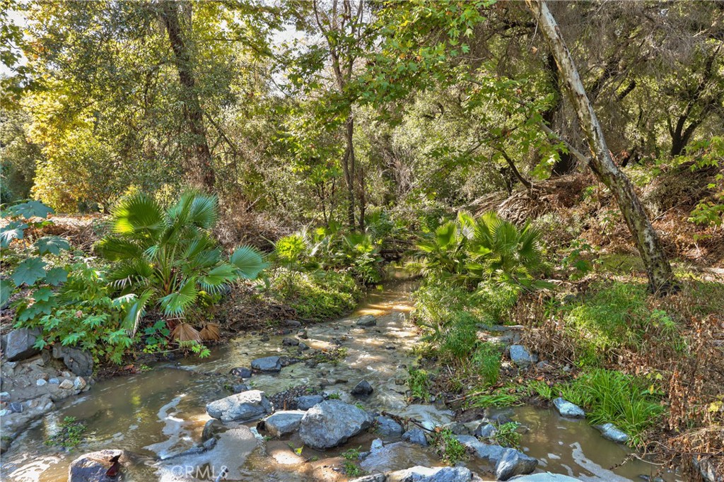 46341 El Prado Road Temecula, CA 92590 - Photo 45 of 52 a view of a tree with a tree