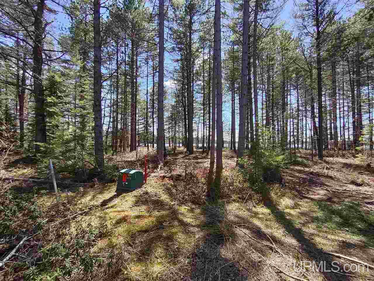 Lot 12 Rice Landing Rd Lake Lake Linden, MI 49945 - Photo 34 of 43