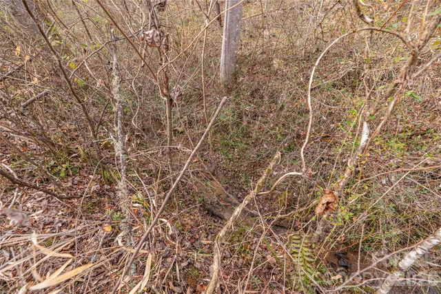 $125,000 | 0 Carver Mountain Valley, Sylva, NC 28779