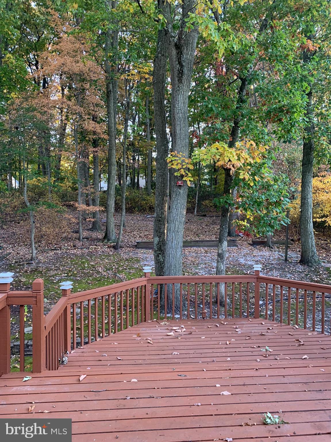 90 Trent Road Blackwood, NJ 08012 - Photo 4 of 24 Look at this back yard!