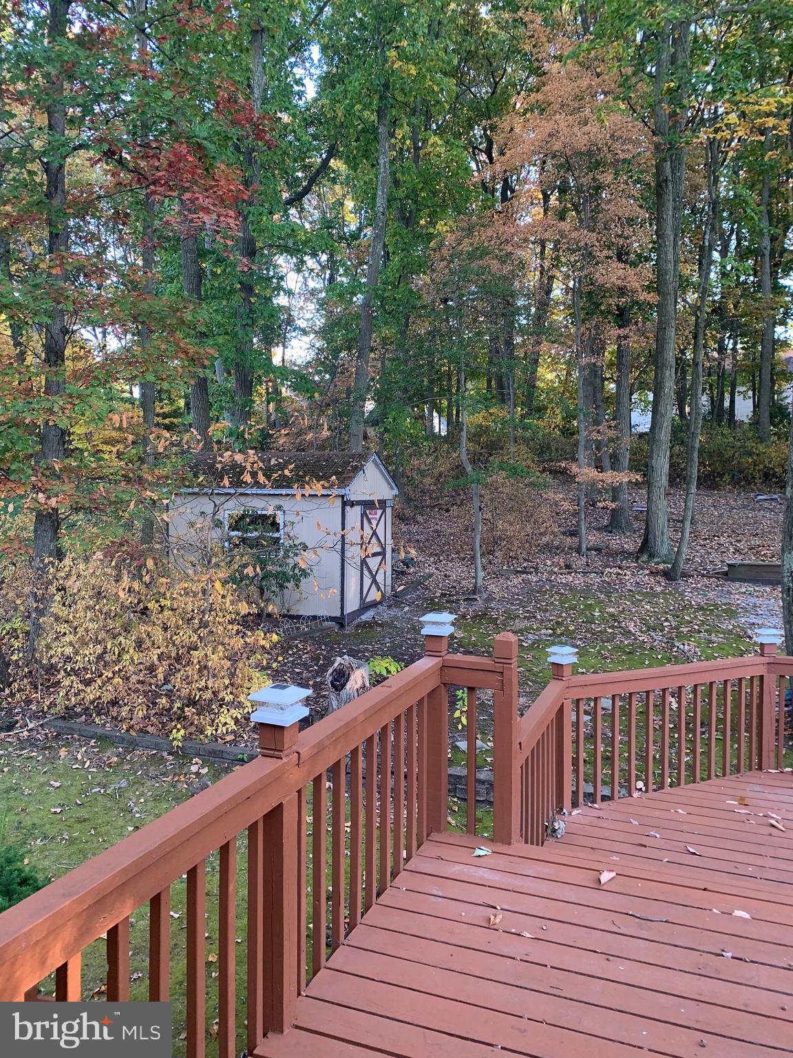 90 Trent Road Blackwood, NJ 08012 - Photo 5 of 24 Shed in yard