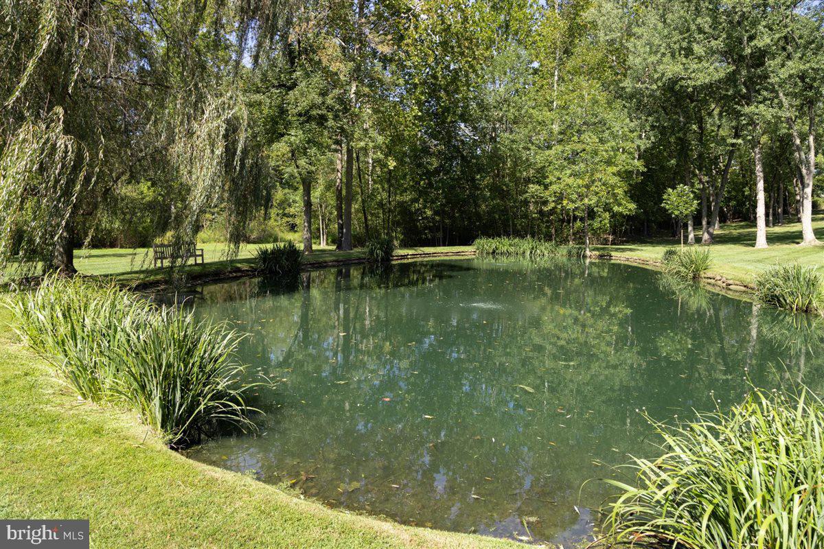 144 Creek Road Chalfont, PA 18914 - Photo 10 of 48 Farm pond