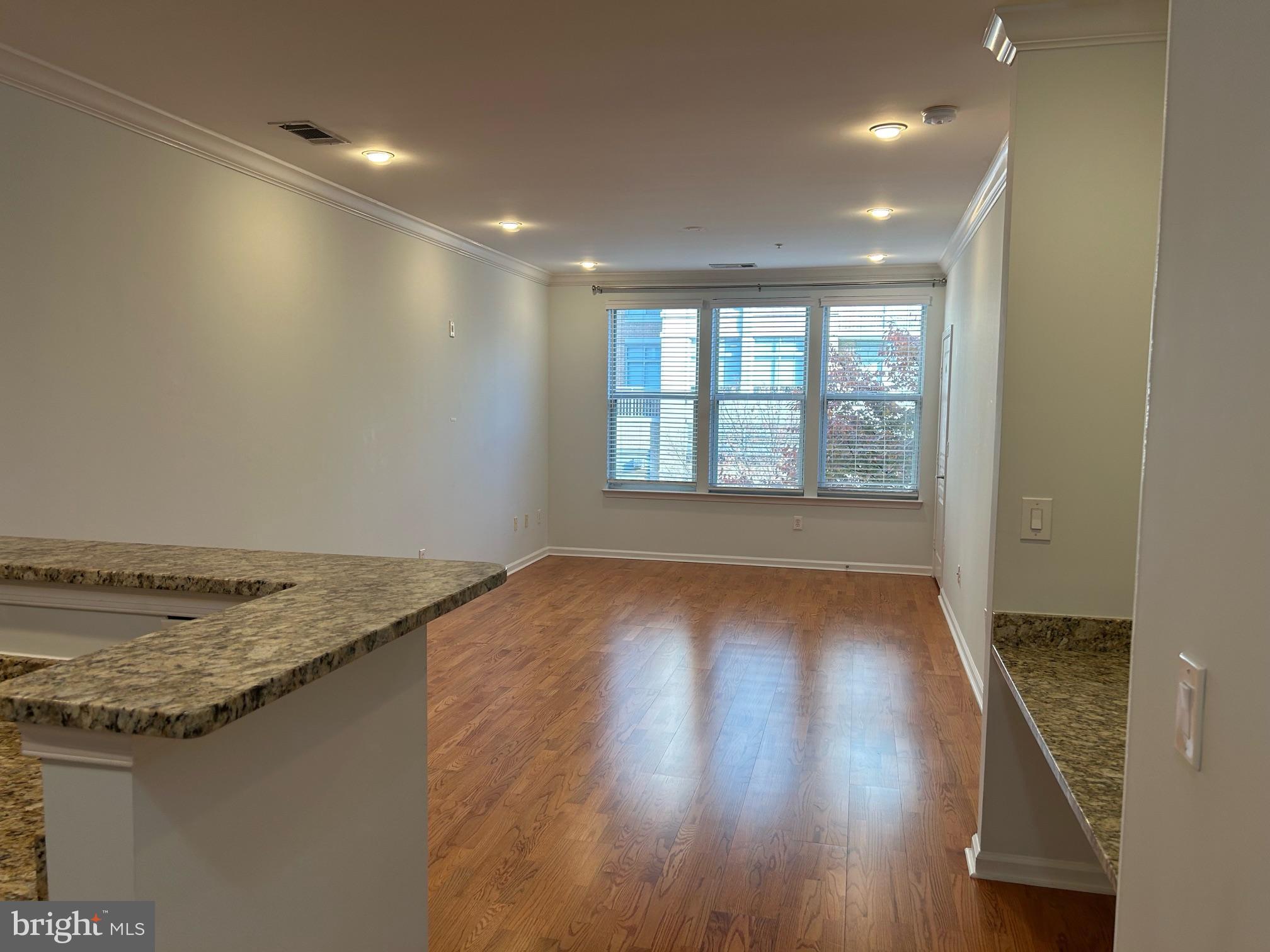 12000 Market Street, Unit 324 Reston, VA 20190 - Photo 4 of 10