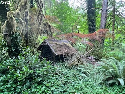 76320 Lower Nehalem Road Seaside, OR 97138 - Photo 12 of 24