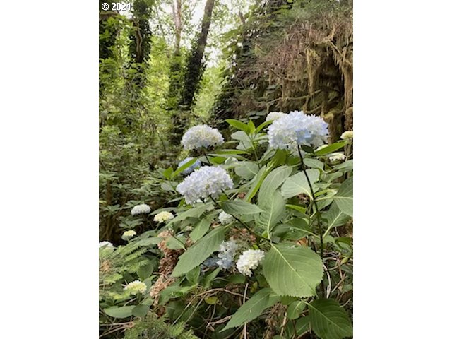76320 Lower Nehalem Road Seaside, OR 97138 - Photo 22 of 24