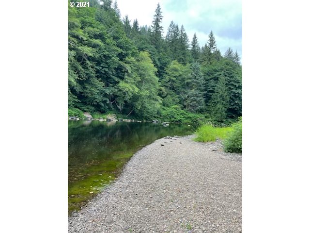 76320 Lower Nehalem Road Seaside, OR 97138 - Photo 3 of 24