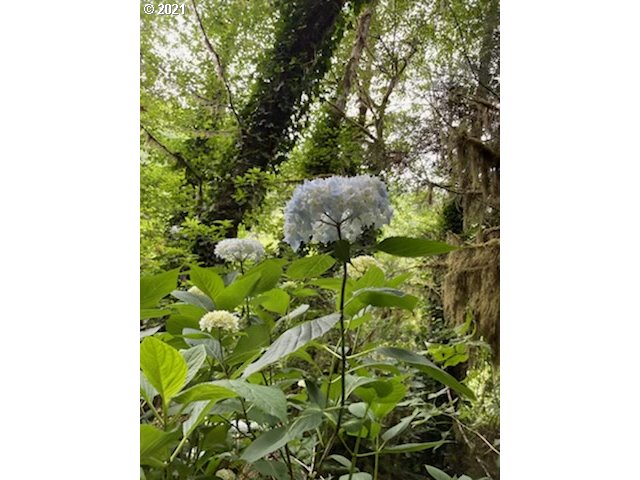 76320 Lower Nehalem Road Seaside, OR 97138 - Photo 9 of 24