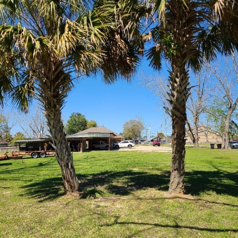10051 Blackwell Nursery Road Semmes, AL 36575 - Photo 7 of 54 View of grassy yard